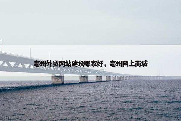 亳州外贸网站建设哪家好，亳州网上商城
