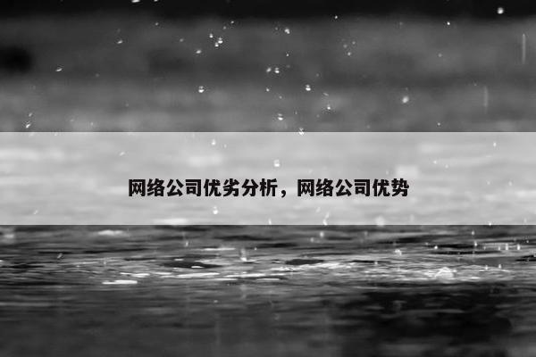 网络公司优劣分析，网络公司优势