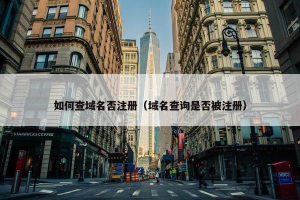 如何查域名否注册（域名查询是否被注册）