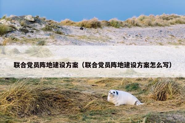 联合党员阵地建设方案（联合党员阵地建设方案怎么写）