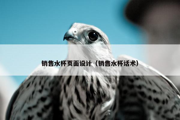 销售水杯页面设计（销售水杯话术）