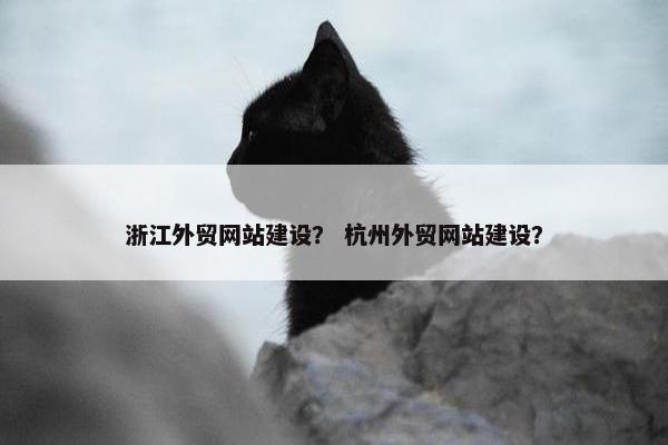 浙江外贸网站建设？ 杭州外贸网站建设？