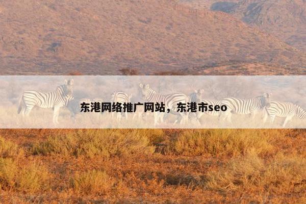 东港网络推广网站，东港市seo