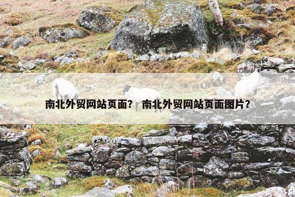 南北外贸网站页面？ 南北外贸网站页面图片？