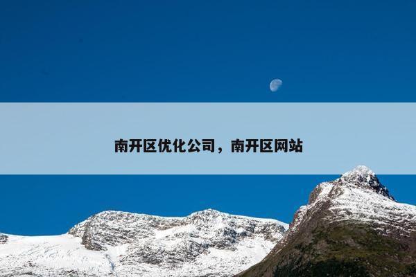 南开区优化公司，南开区网站