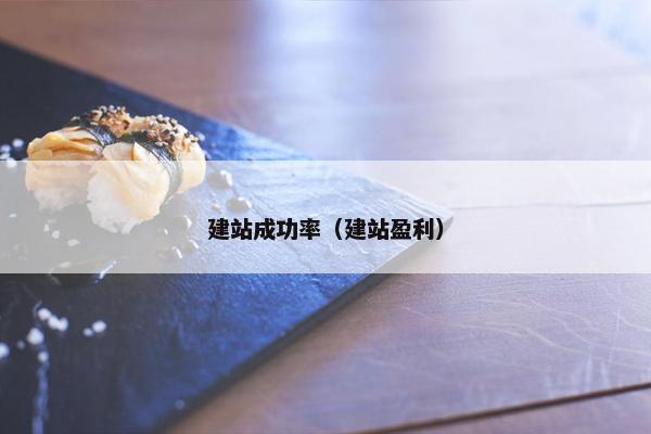 建站成功率（建站盈利）