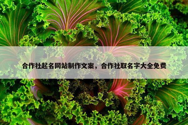 合作社起名网站制作文案，合作社取名字大全免费