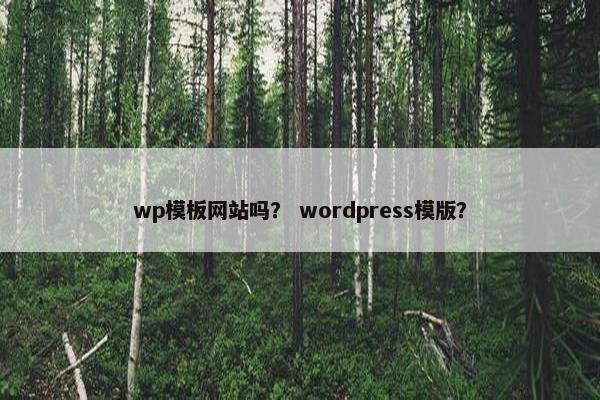wp模板网站吗？ wordpress模版？