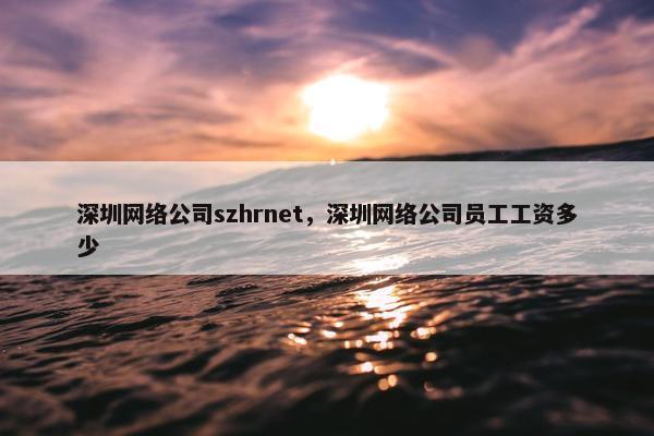 深圳网络公司szhrnet，深圳网络公司员工工资多少