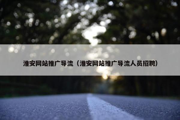 淮安网站推广导流（淮安网站推广导流人员招聘）