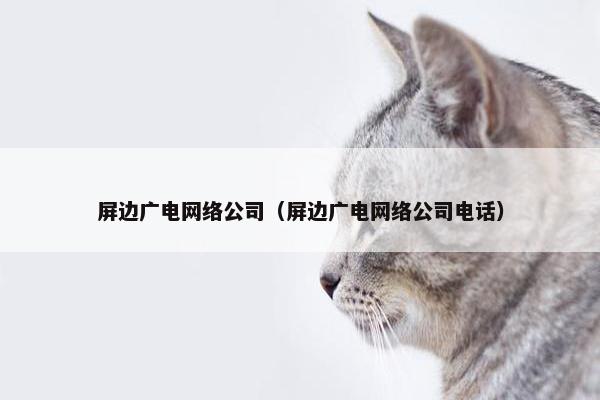 屏边广电网络公司（屏边广电网络公司电话）