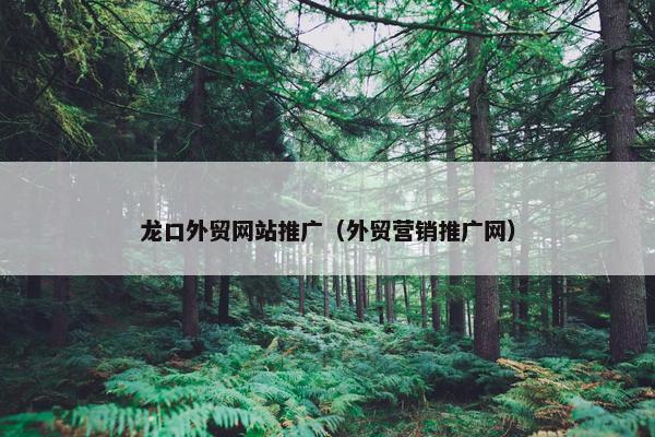 龙口外贸网站推广（外贸营销推广网）