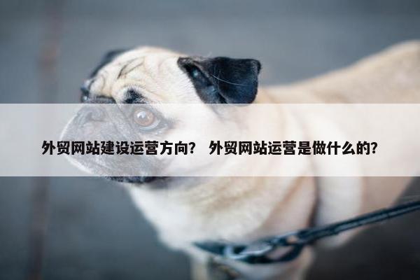 外贸网站建设运营方向？ 外贸网站运营是做什么的？