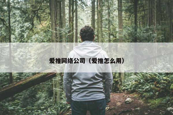 爱推网络公司（爱推怎么用）