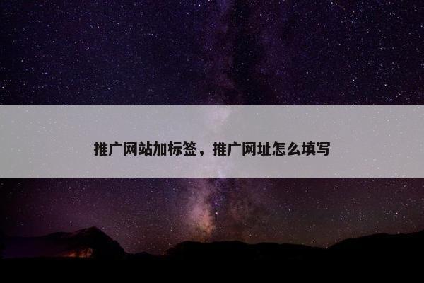 推广网站加标签，推广网址怎么填写