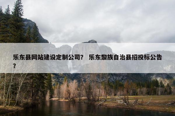 乐东县网站建设定制公司？ 乐东黎族自治县招投标公告？