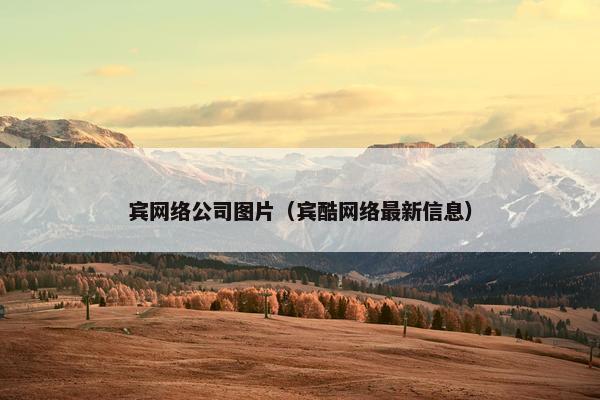 宾网络公司图片（宾酷网络最新信息）