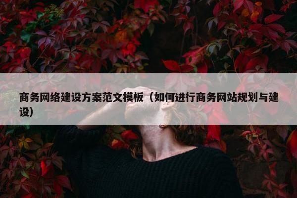 商务网络建设方案范文模板（如何进行商务网站规划与建设）