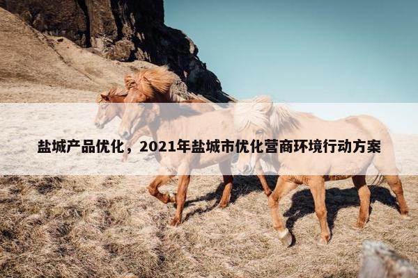 盐城产品优化，2021年盐城市优化营商环境行动方案