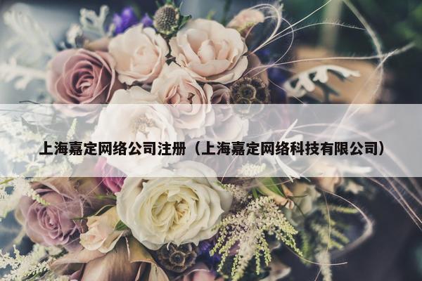 上海嘉定网络公司注册（上海嘉定网络科技有限公司）