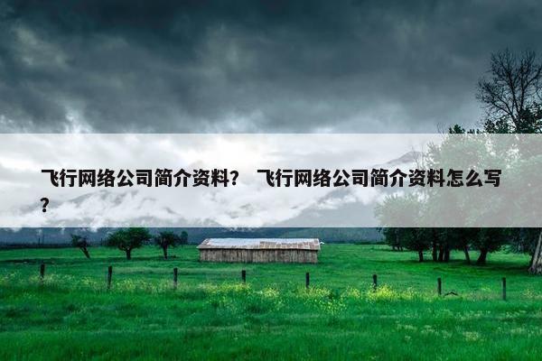 飞行网络公司简介资料？ 飞行网络公司简介资料怎么写？