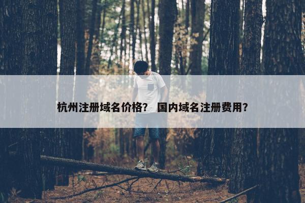杭州注册域名价格？ 国内域名注册费用？