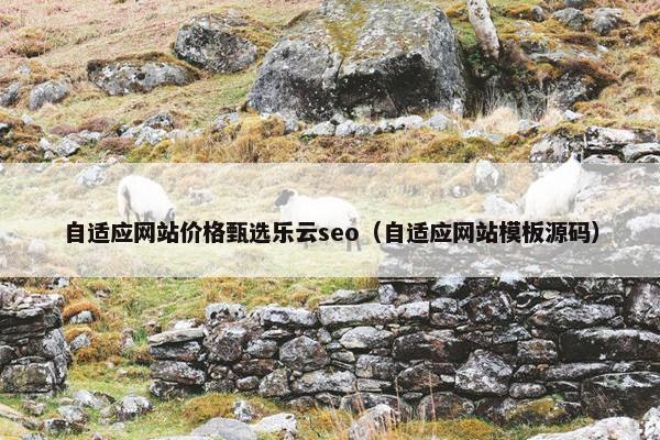 自适应网站价格甄选乐云seo（自适应网站模板源码）