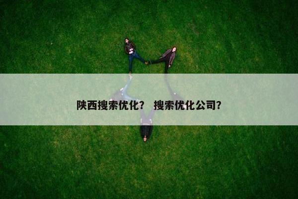 陕西搜索优化？ 搜索优化公司？