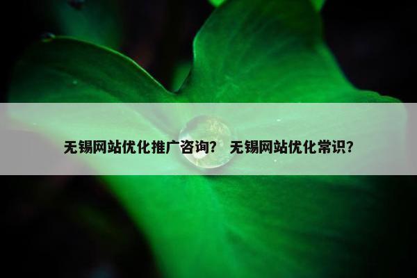 无锡网站优化推广咨询？ 无锡网站优化常识？