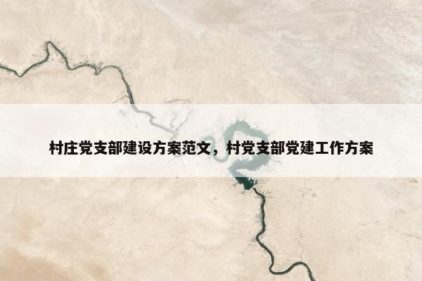 村庄党支部建设方案范文，村党支部党建工作方案