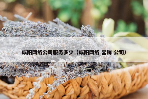 咸阳网络公司服务多少（咸阳网络 营销 公司）