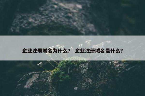 企业注册域名为什么？ 企业注册域名是什么？