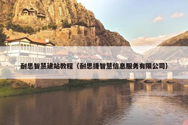 耐思智慧建站教程（耐思捷智慧信息服务有限公司）