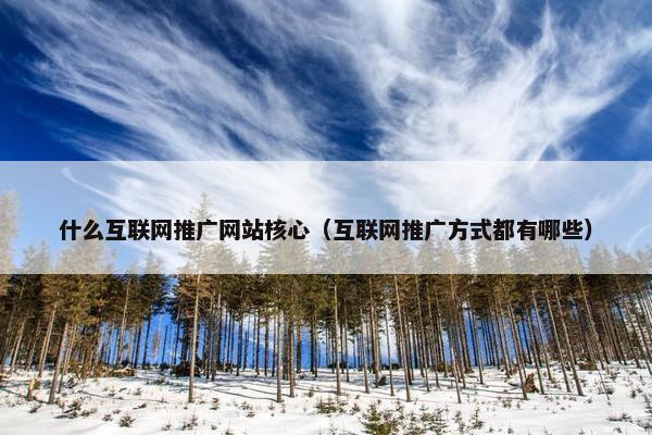 什么互联网推广网站核心（互联网推广方式都有哪些）