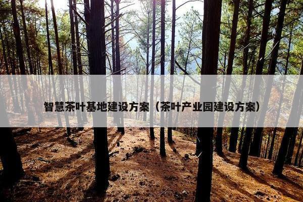 智慧茶叶基地建设方案（茶叶产业园建设方案）