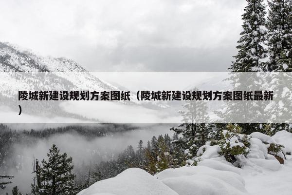 陵城新建设规划方案图纸（陵城新建设规划方案图纸最新）