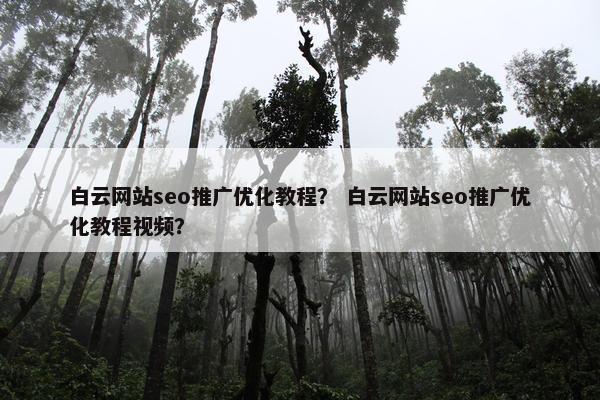 白云网站seo推广优化教程？ 白云网站seo推广优化教程视频？