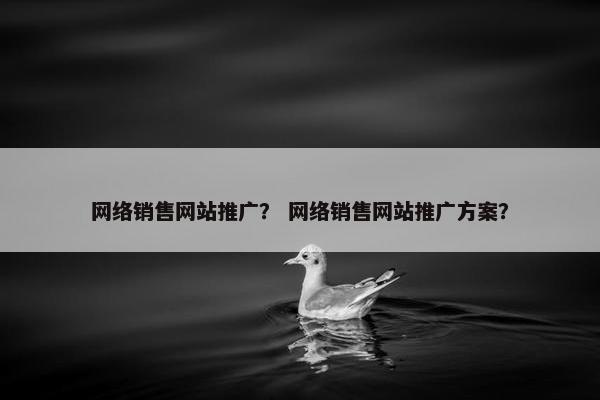 网络销售网站推广？ 网络销售网站推广方案？