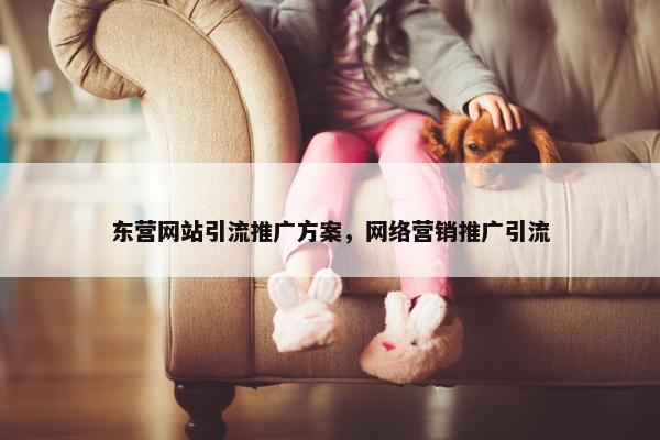 东营网站引流推广方案，网络营销推广引流