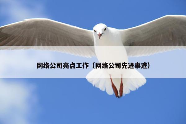 网络公司亮点工作（网络公司先进事迹）