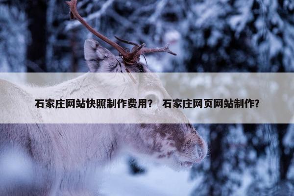石家庄网站快照制作费用？ 石家庄网页网站制作？