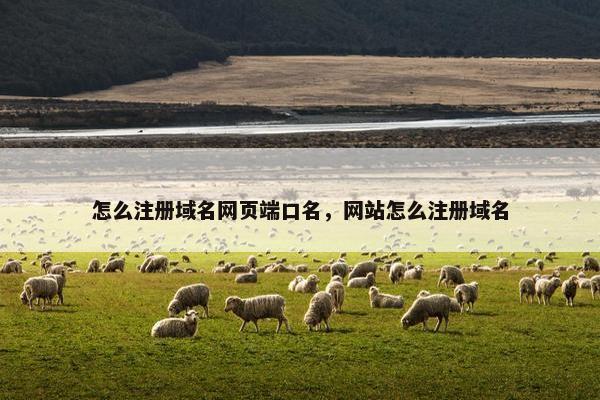 怎么注册域名网页端口名，网站怎么注册域名