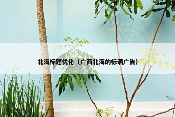 北海标题优化（广西北海的标语广告）