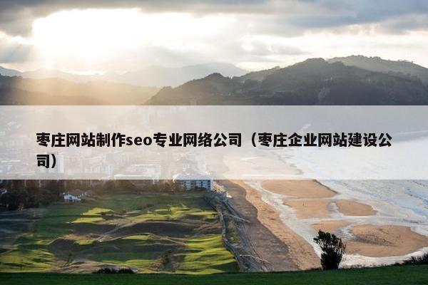 枣庄网站制作seo专业网络公司（枣庄企业网站建设公司）
