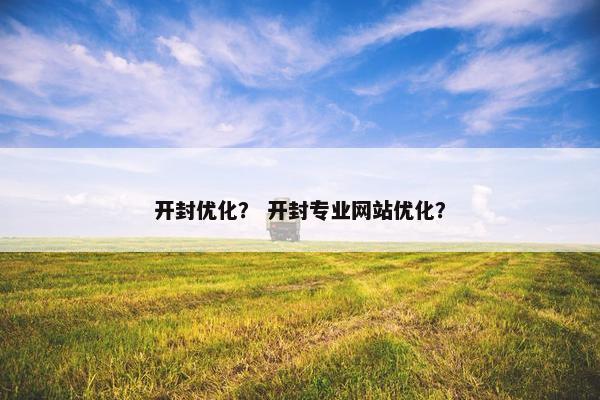 开封优化？ 开封专业网站优化？