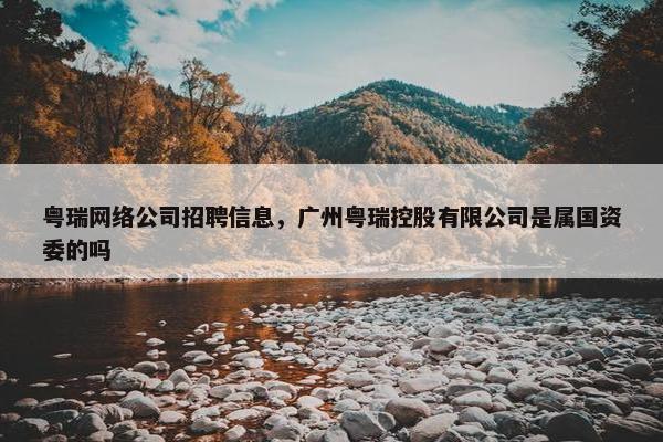 粤瑞网络公司招聘信息，广州粤瑞控股有限公司是属国资委的吗
