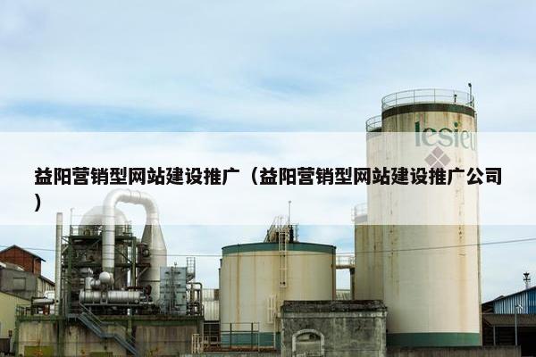 益阳营销型网站建设推广（益阳营销型网站建设推广公司）