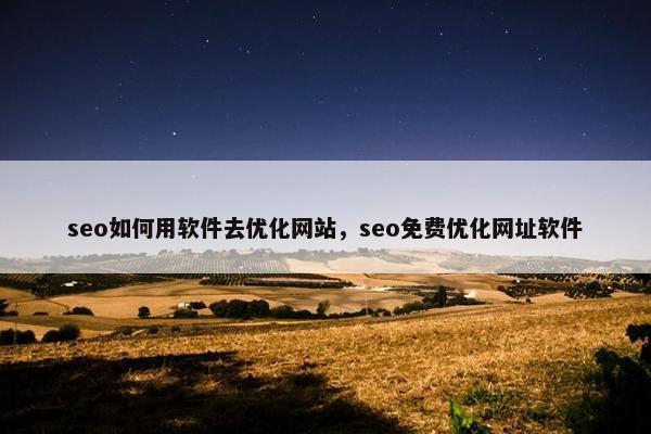 seo如何用软件去优化网站，seo免费优化网址软件