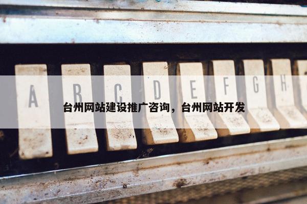 台州网站建设推广咨询，台州网站开发