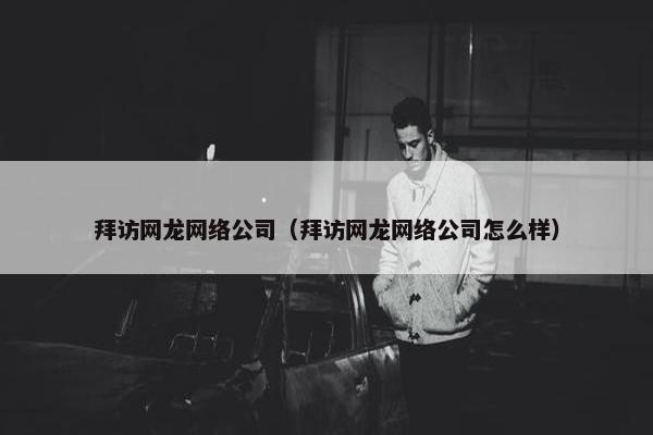 拜访网龙网络公司（拜访网龙网络公司怎么样）